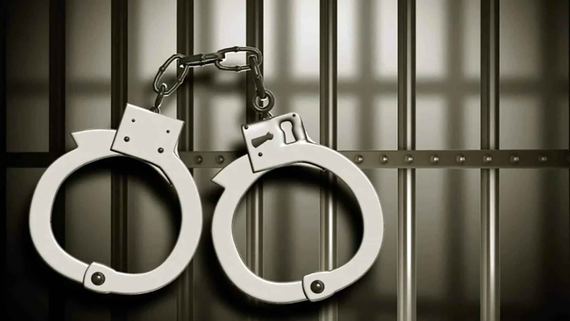 পর্তুগালে বিদেশি নাগরিককে অপহরণ ও নির্যাতনের দায়ে ২ বাংলাদেশি গ্রেফতার