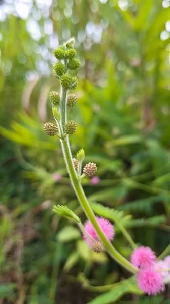 images_(5)
