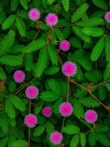 images_(6)