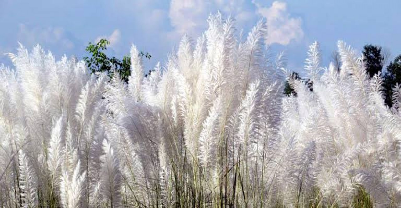 kashful_20250816_103307207