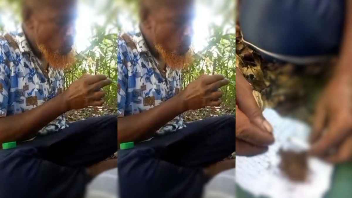 বিএনপি নেতার গাঁজা-ইয়াবা সেবন, ভিডিও ভাইরাল