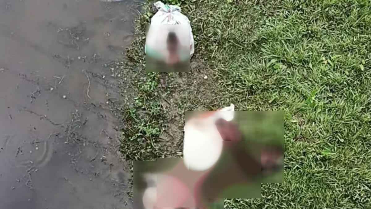 ব্রিজের নিচে ৩ বস্তা ঘোড়ার চামড়া ও মাথা, মাংসের বাজারে আতঙ্ক