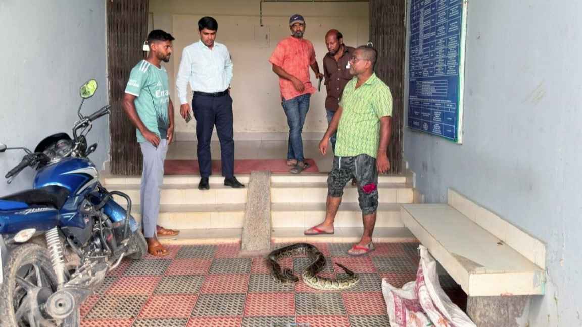 শ্রীমঙ্গলে মুমূর্ষু অজগর উদ্ধার, হাসপাতালে নেওয়ার আগেই মৃত্যু