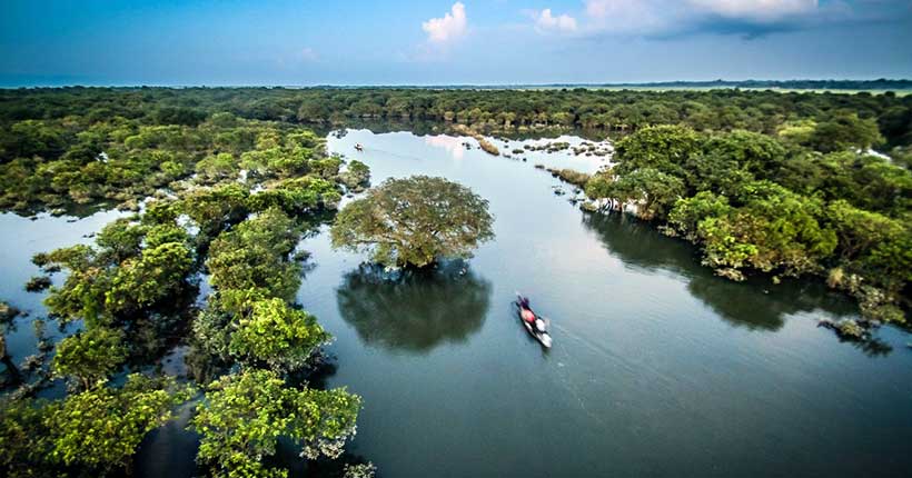 ratargul-swamp-forest-1_lgv2vz ratargul-swamp-forest-1_lgv2vz