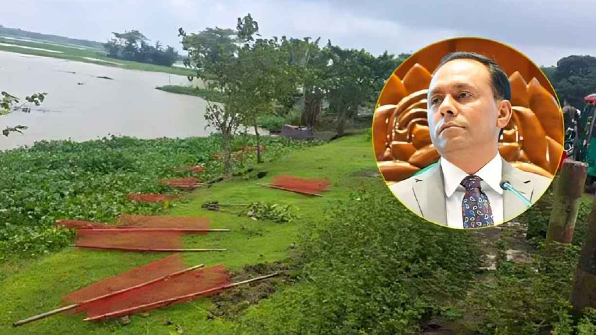 ডেপুটি স্পিকারের গাছ উপড়ে ফেলায় মামলা, আ.লীগ-ছাত্রলীগের ৩ জন গ্রেফতার