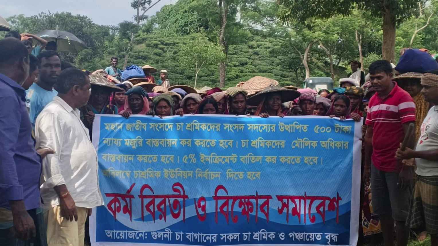 সিলেটে পাঁচ দফা দাবিতে চা শ্রমিকদের কর্মবিরতি ও বিক্ষোভ