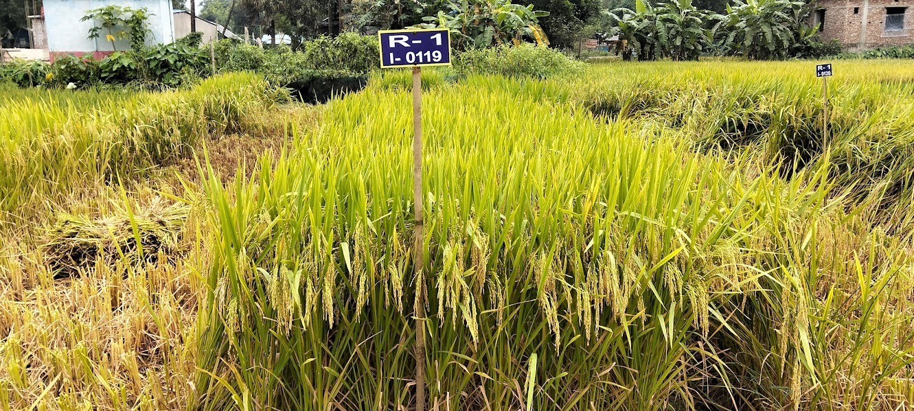 03119d8c-ac81-45f8-92bb-f93ee861eb3f