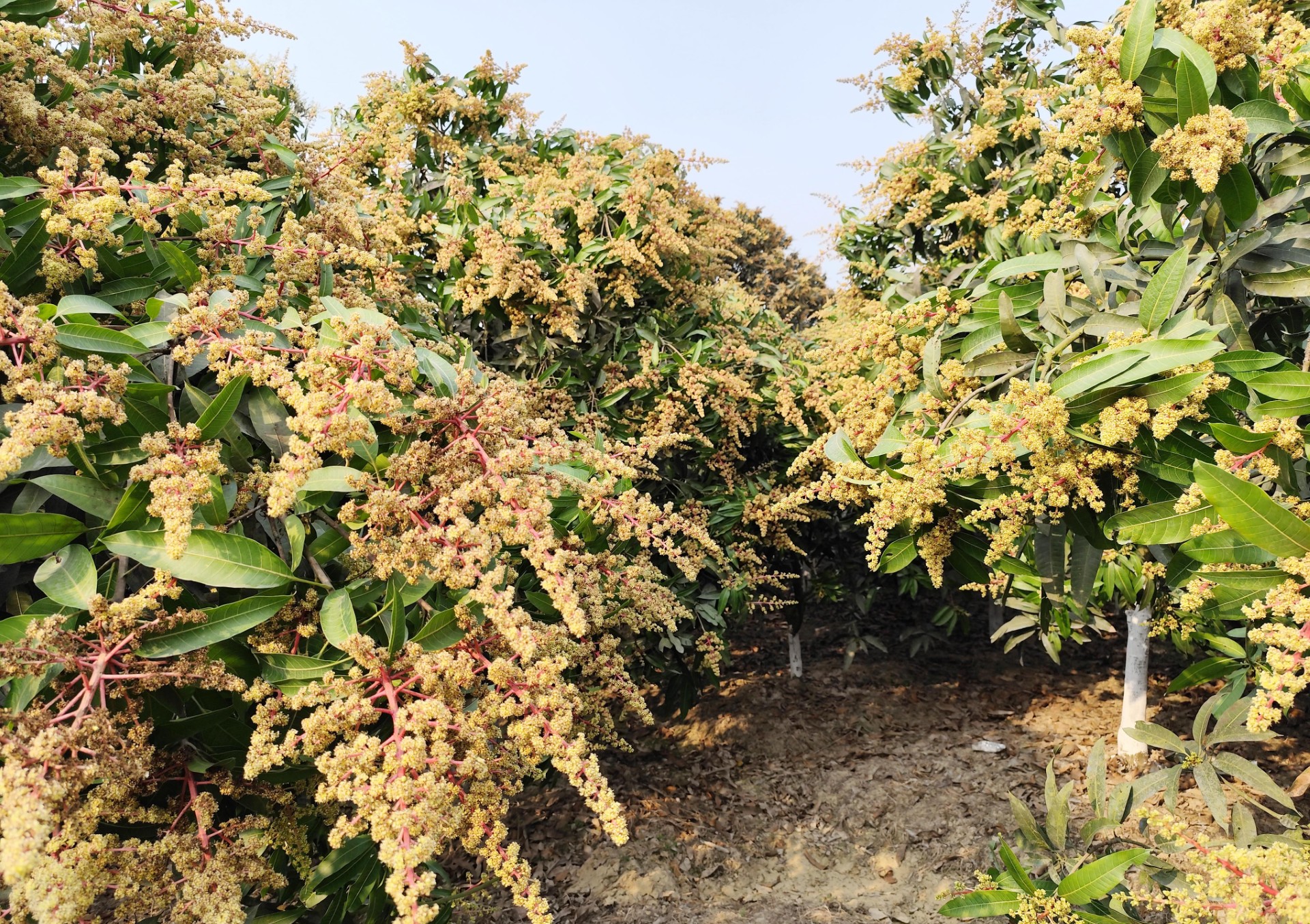 0c3e4e1f-3fb5-41fb-85dd-0f9c1ed98fba