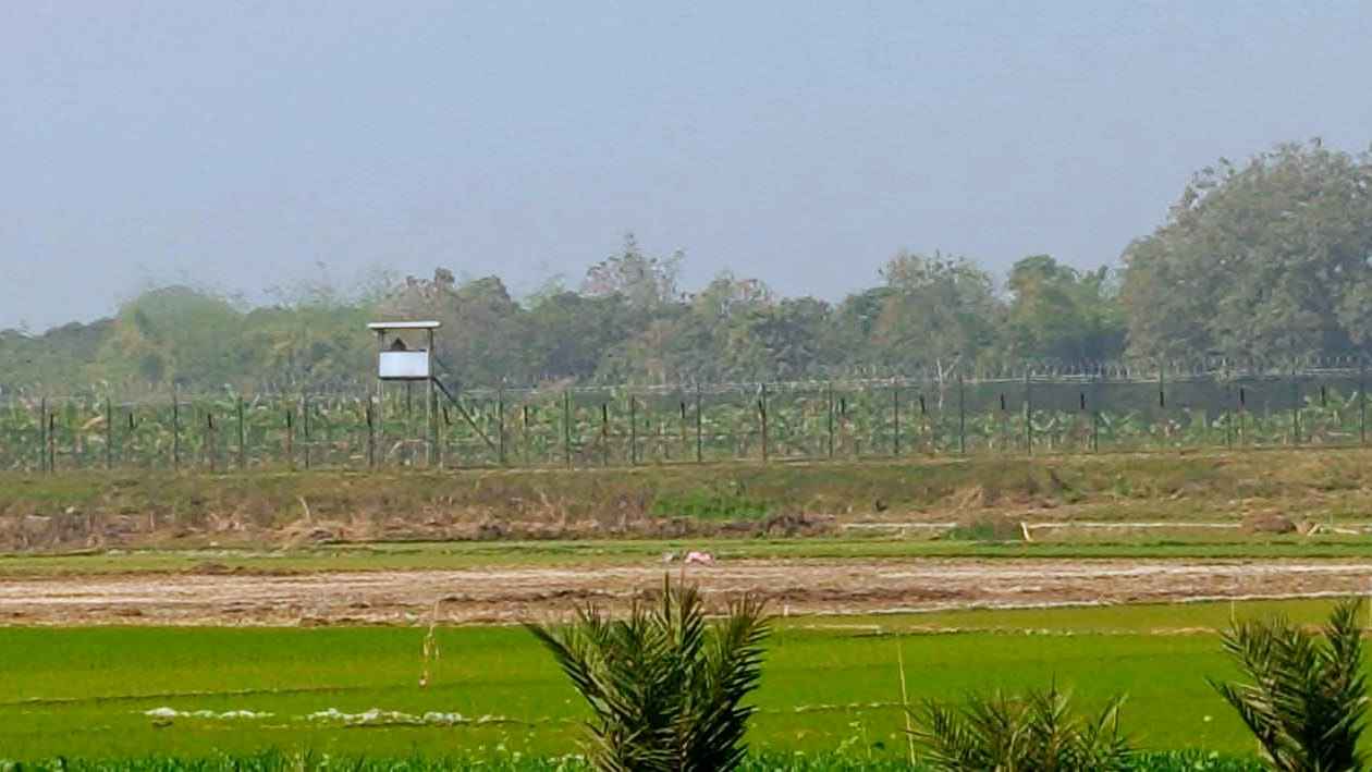 চুয়াডাঙ্গা সীমান্তে বিএসএফের হাতে দুই বাংলাদেশি আটক