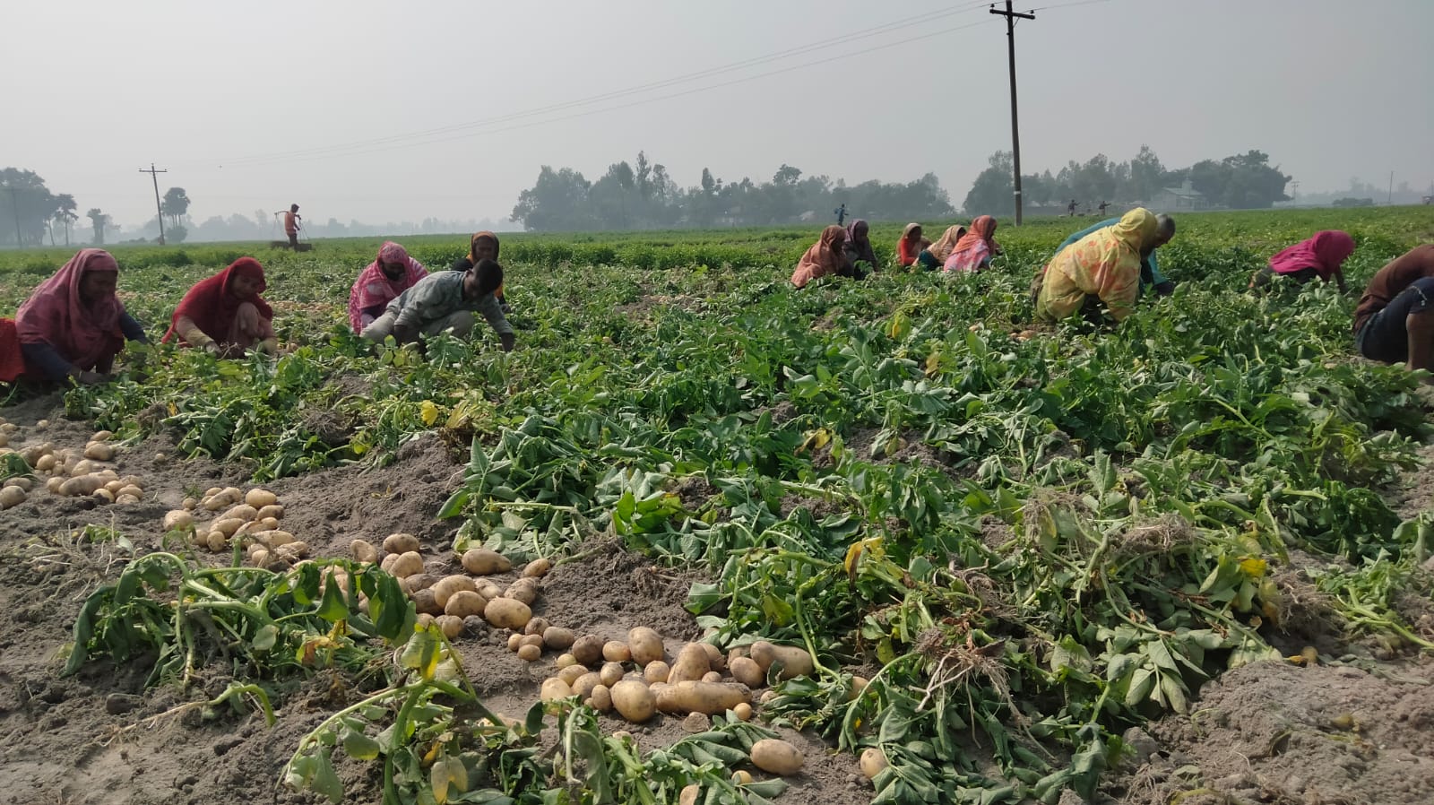 11e3e70c-f486-455d-9939-eb0f821da6f5