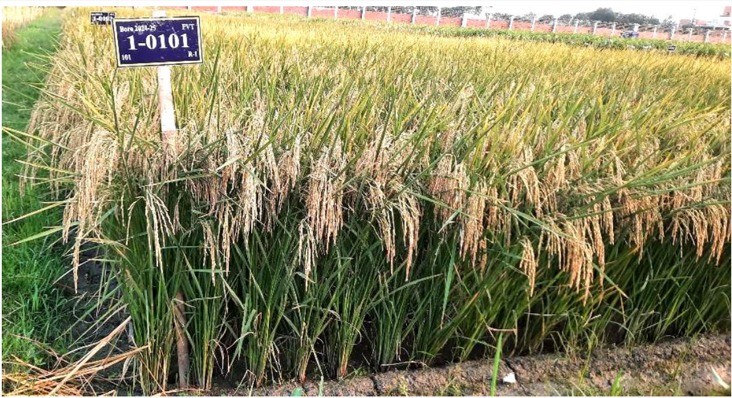 12d021ea-ab65-4a8a-8770-f04f670c6e32