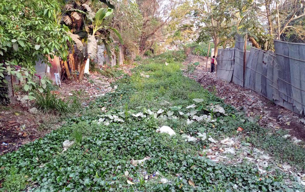 238fb41f-c97c-4b7e-8409-7315154a0623