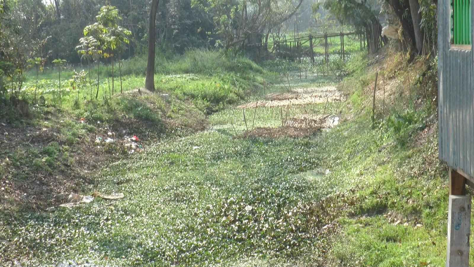 2ac946b5-21f3-40c6-8886-92aa94e10f17 2ac946b5-21f3-40c6-8886-92aa94e10f17