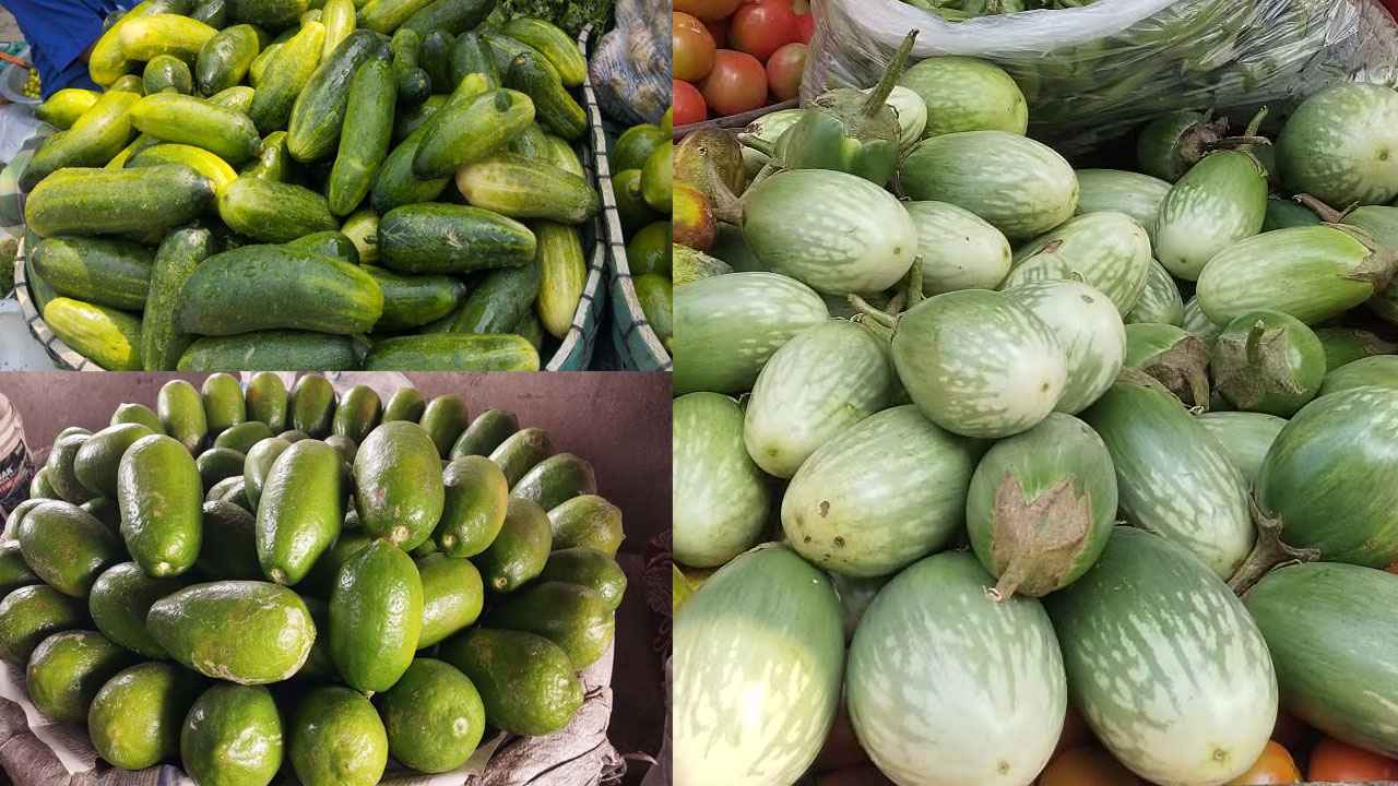 লেবু-শসার দাপট কমলেও চড়া বেগুন