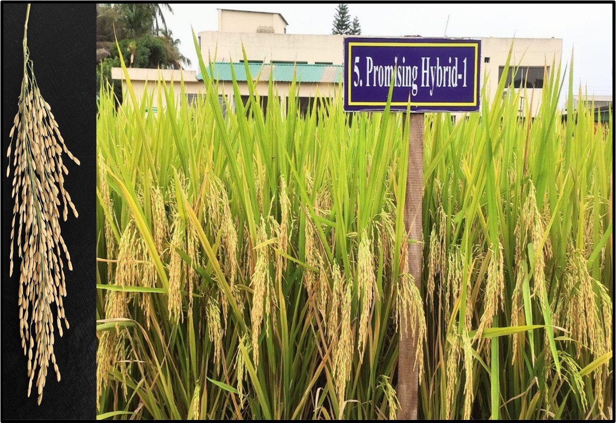 3f5f74ab-59c0-426b-b376-bdec83fac8fc