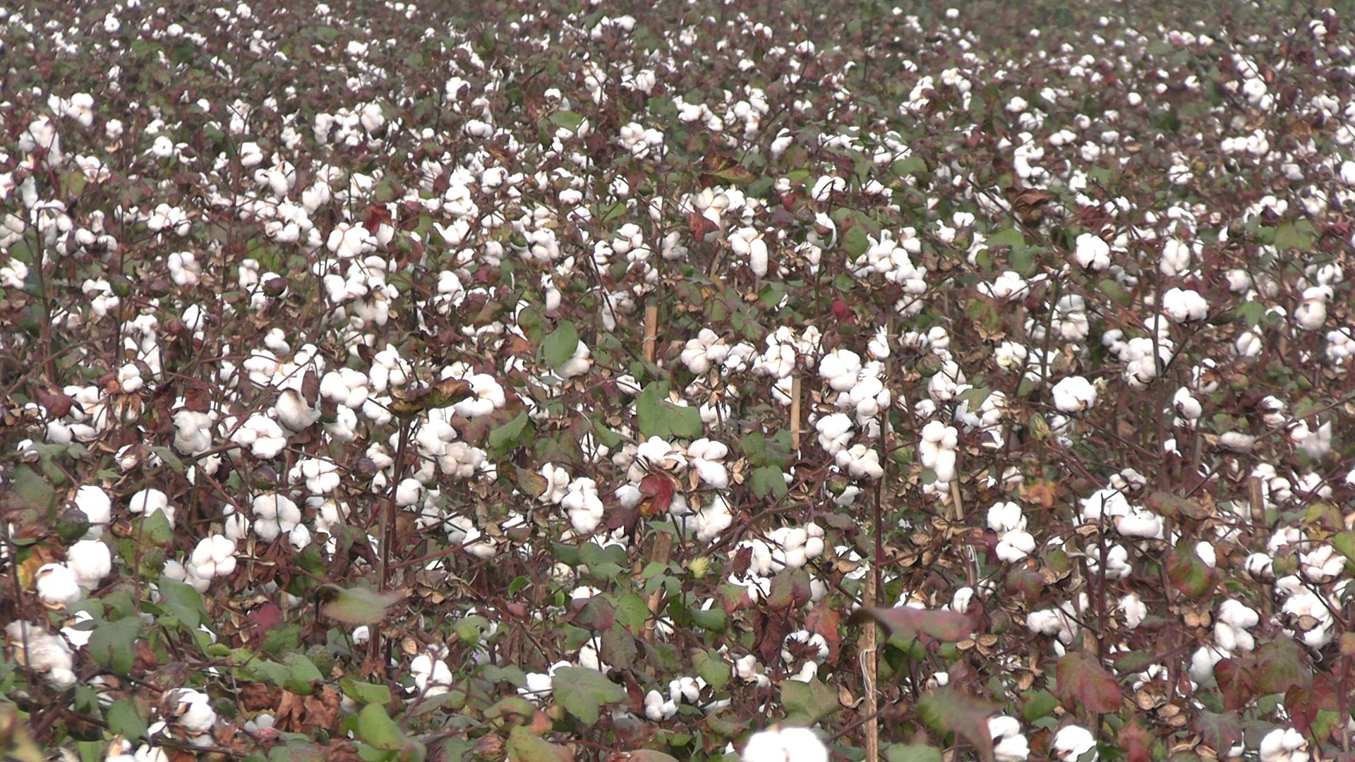 4e682f06-2b52-485a-b114-a5e1241b4911