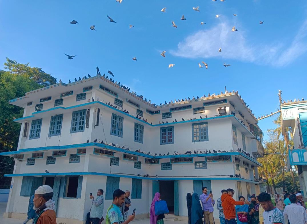 4f990d1a-c173-4510-8542-d85e3de5a631