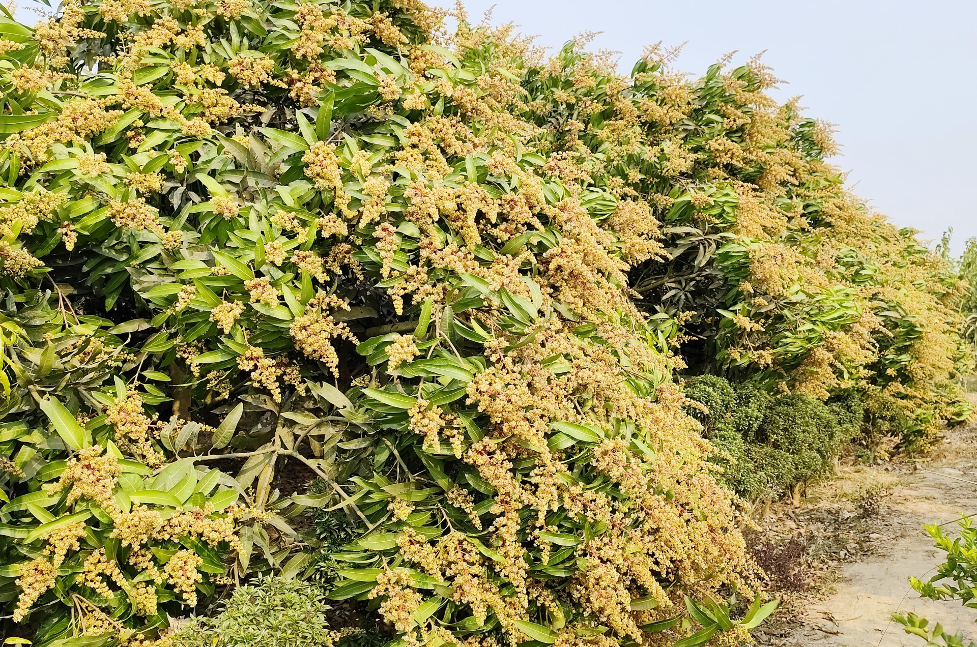 52bdb406-22e7-4ef5-b7d0-062be8e66578