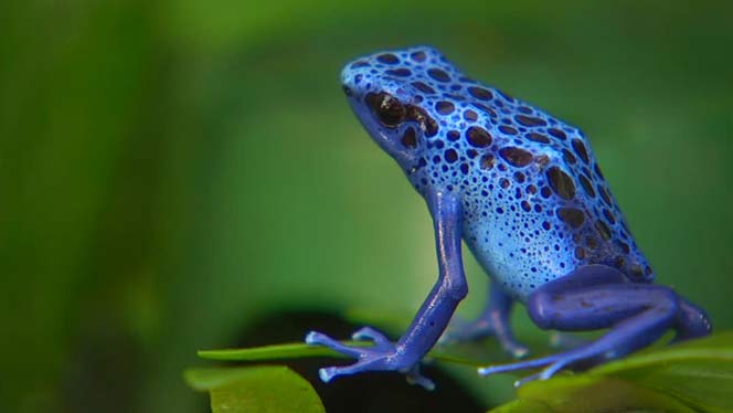 53957-bang 53957-bang