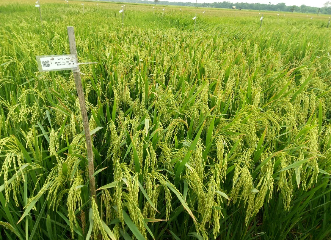 68803b96-4081-412a-975b-98d3b1b22aca