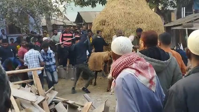 71389350-1322-4b24-9237-85c72a613e76