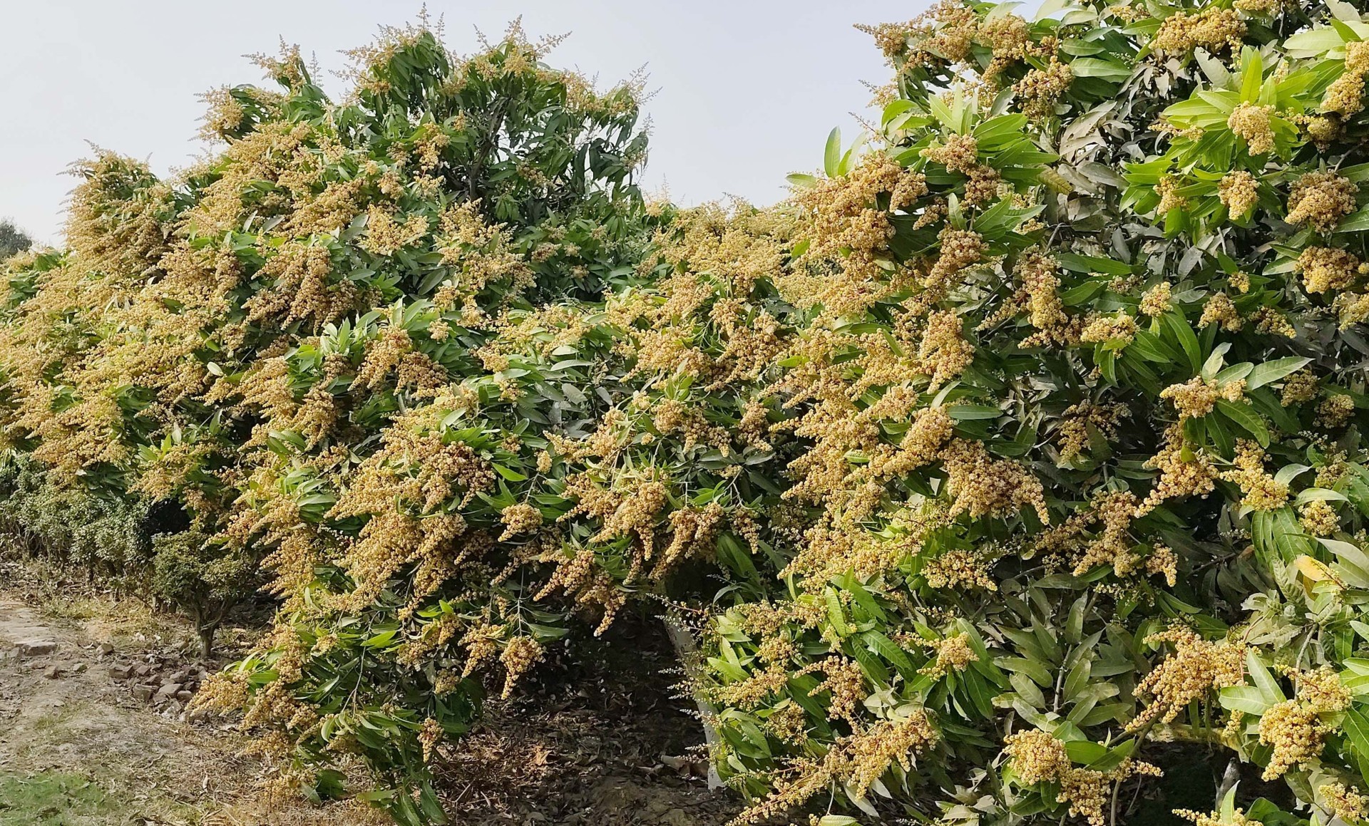 766d853f-aa27-4c02-be4f-8cba045deb0b