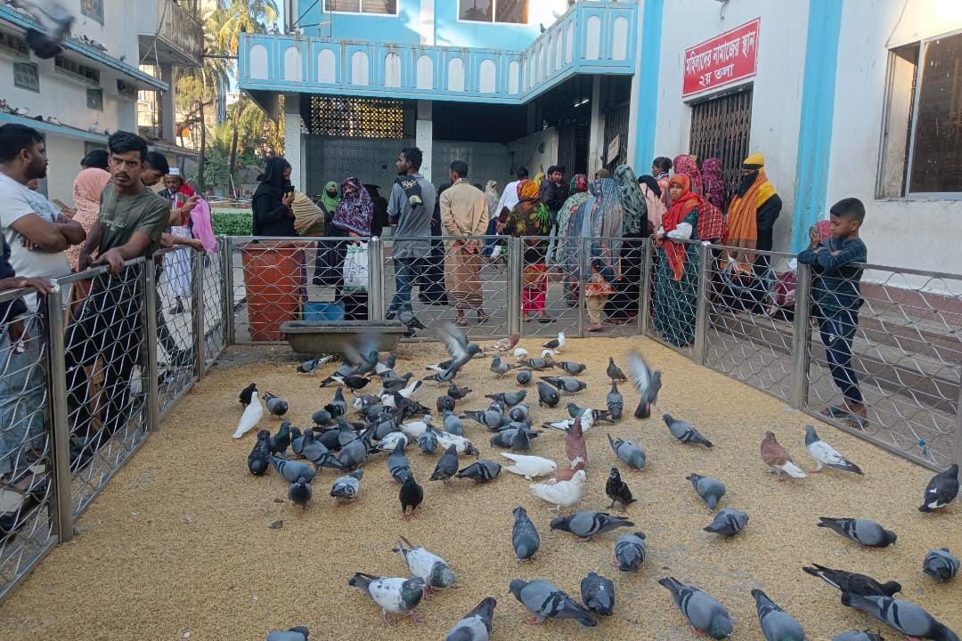 8d249e5d-7611-4af3-af21-467bc247183b