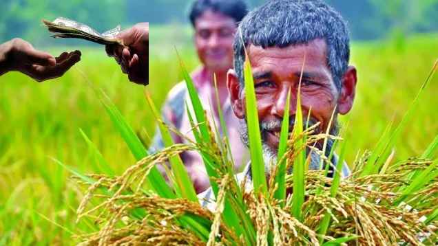 Agricultural loan waiver