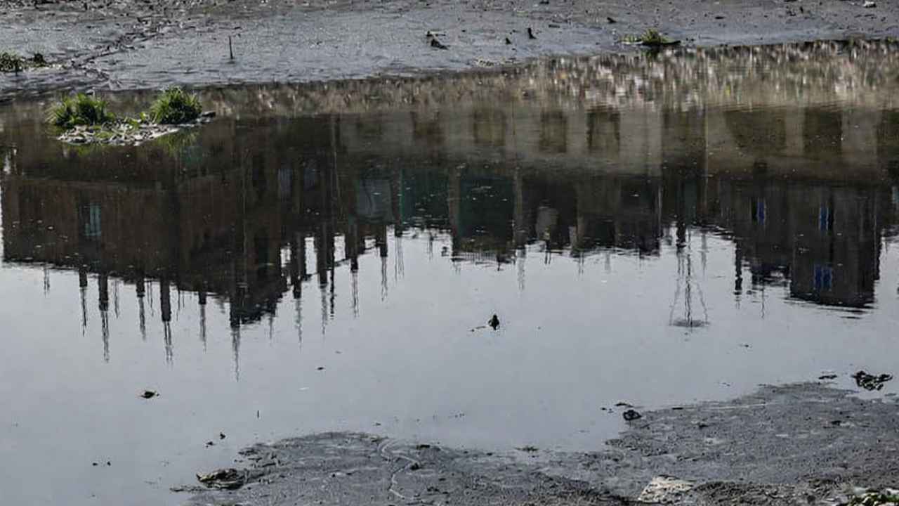 ফরিদপুরে চিনিকলের বর্জ্যে বিষাক্ত চন্দনা–বারাশিয়া নদী