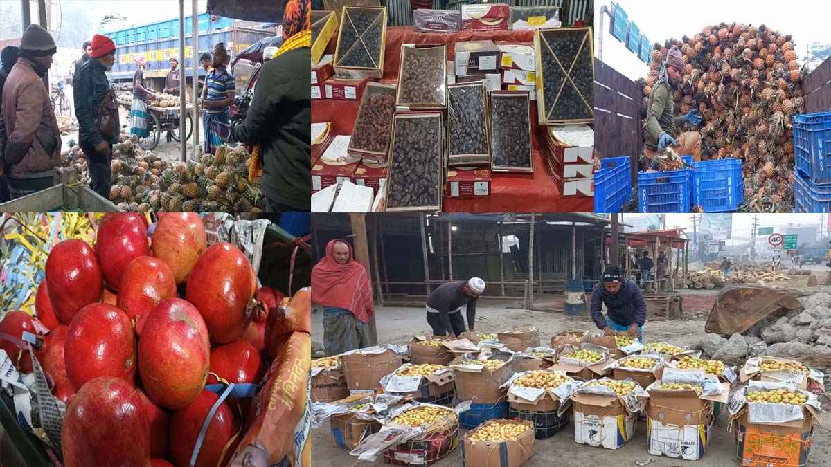 মাদারীপুরে রমজানে মৌসুমি ফলের কদর বাড়ায় বেড়েছে দামও