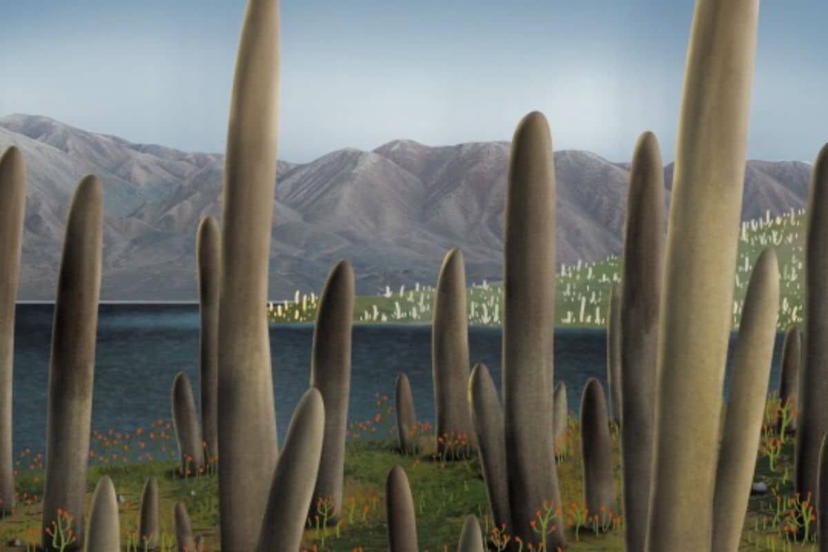 Scientists-Just-Found-a-Fossil-That-Doesnt-Belong-to-Any-Known-Life-Form-—-What-Is-It Scientists-Just-Found-a-Fossil-That-Doesnt-Belong-to-Any-Known-Life-Form-—-What-Is-It