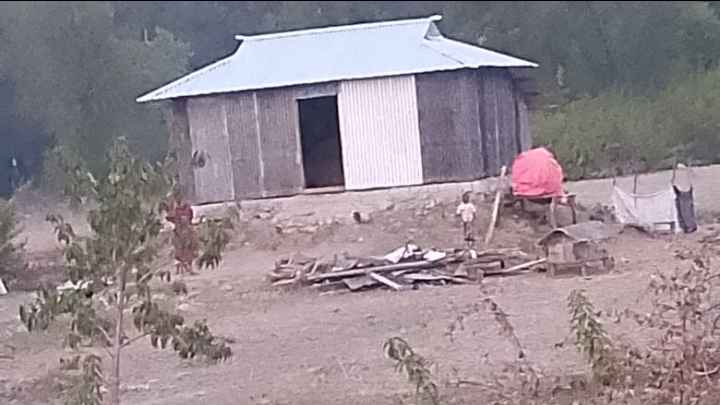 হাতিয়ায় বন কেটে জমি দখল, চলছে গৃহ নির্মাণ