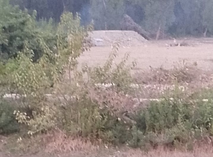 Screenshot_2026-02-04-17-12-08-43_e5d3893ac03954c6bb675ef2555b879b