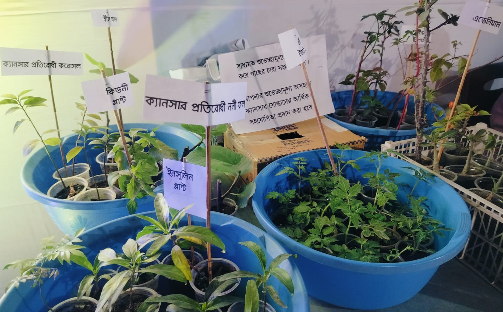 WhatsApp_Image_2026-02-05_at_4.01.36_PM_(1)