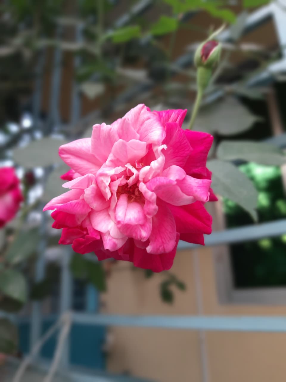 WhatsApp_Image_2026-02-07_at_12.29.11_AM