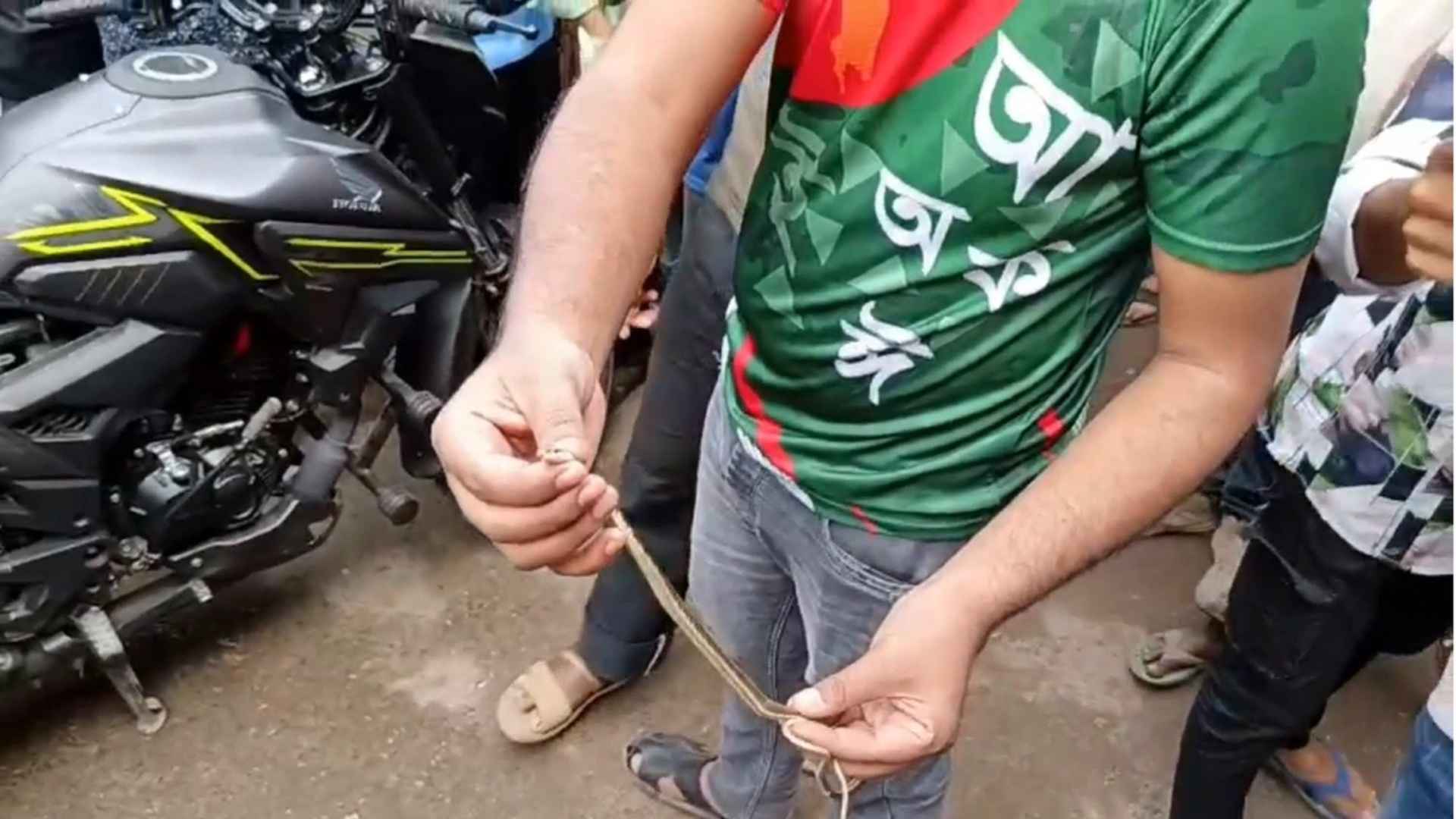 ঝিনাইদহে মোটরসাইকেলের সিটের নিচ থেকে সাপ উদ্ধার