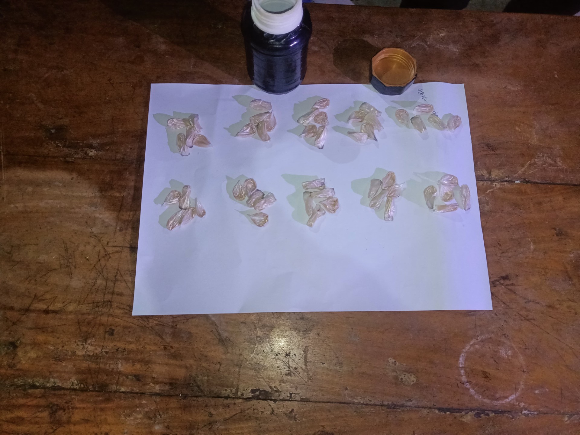 b8e5a47f-e102-438b-ab50-2932c012bc7d b8e5a47f-e102-438b-ab50-2932c012bc7d