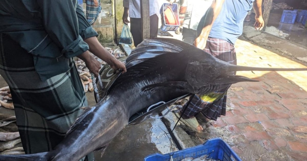 d802fe34-d87b-4c8f-af3f-586190b7701a