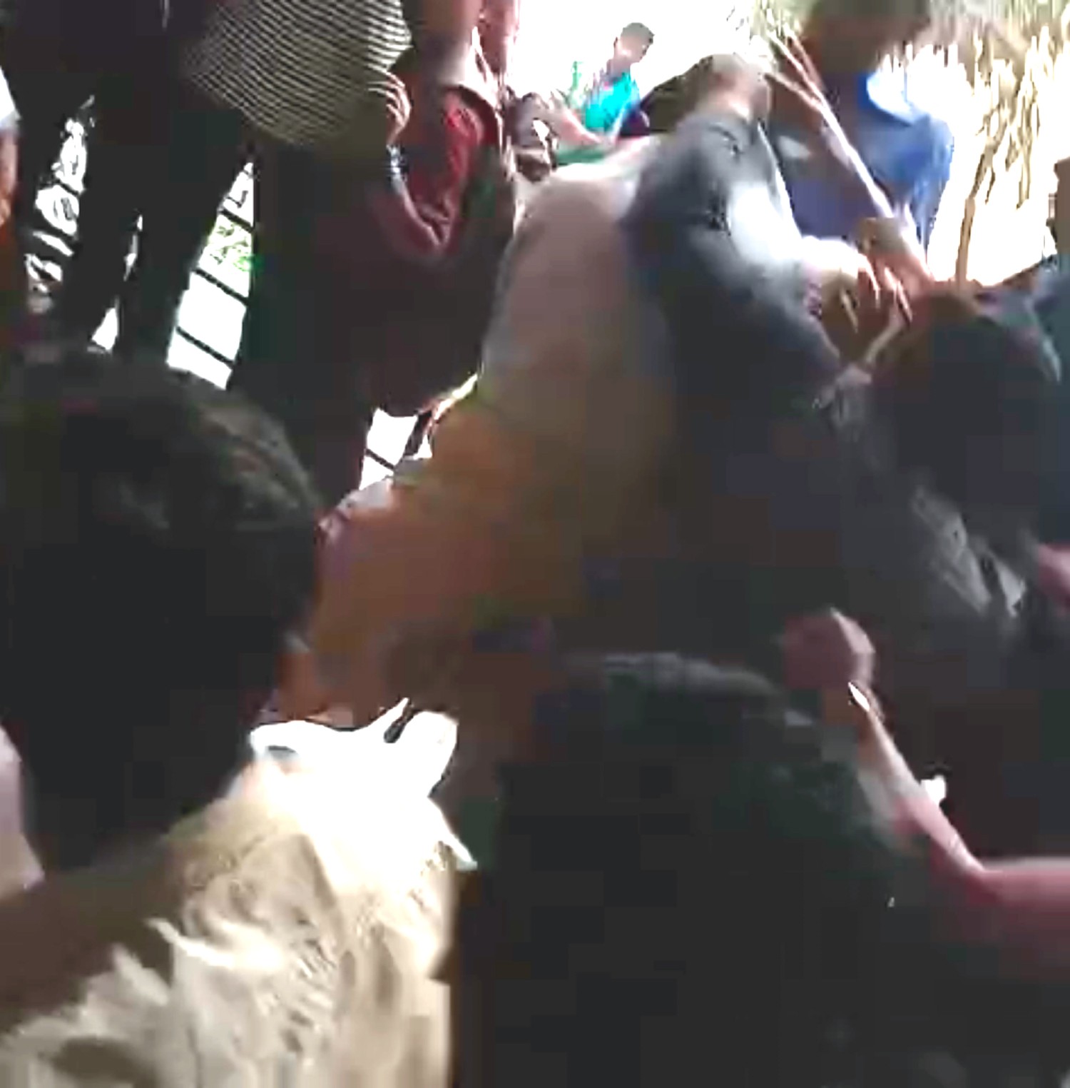 e45478a3-33a8-4c8b-b61c-31d7c566f7f7