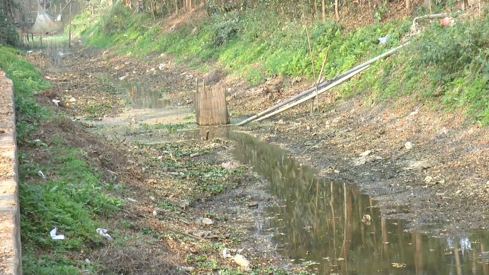 ed20c7e5-e4b7-482c-bba3-7997bd38f565 ed20c7e5-e4b7-482c-bba3-7997bd38f565