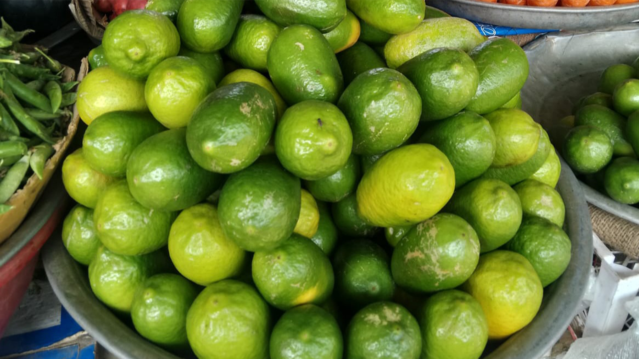 image_267360_1771329146