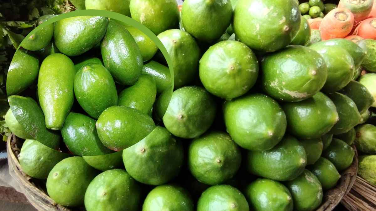 লেবুর রাজ্যে বাড়ছে দাম, চাপে ভোক্তা