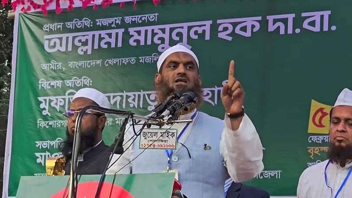 ১২ ফেব্রুয়ারি ব্যালট বিপ্লবে সন্ত্রাস বিদায় হবে: মামুনুল হক