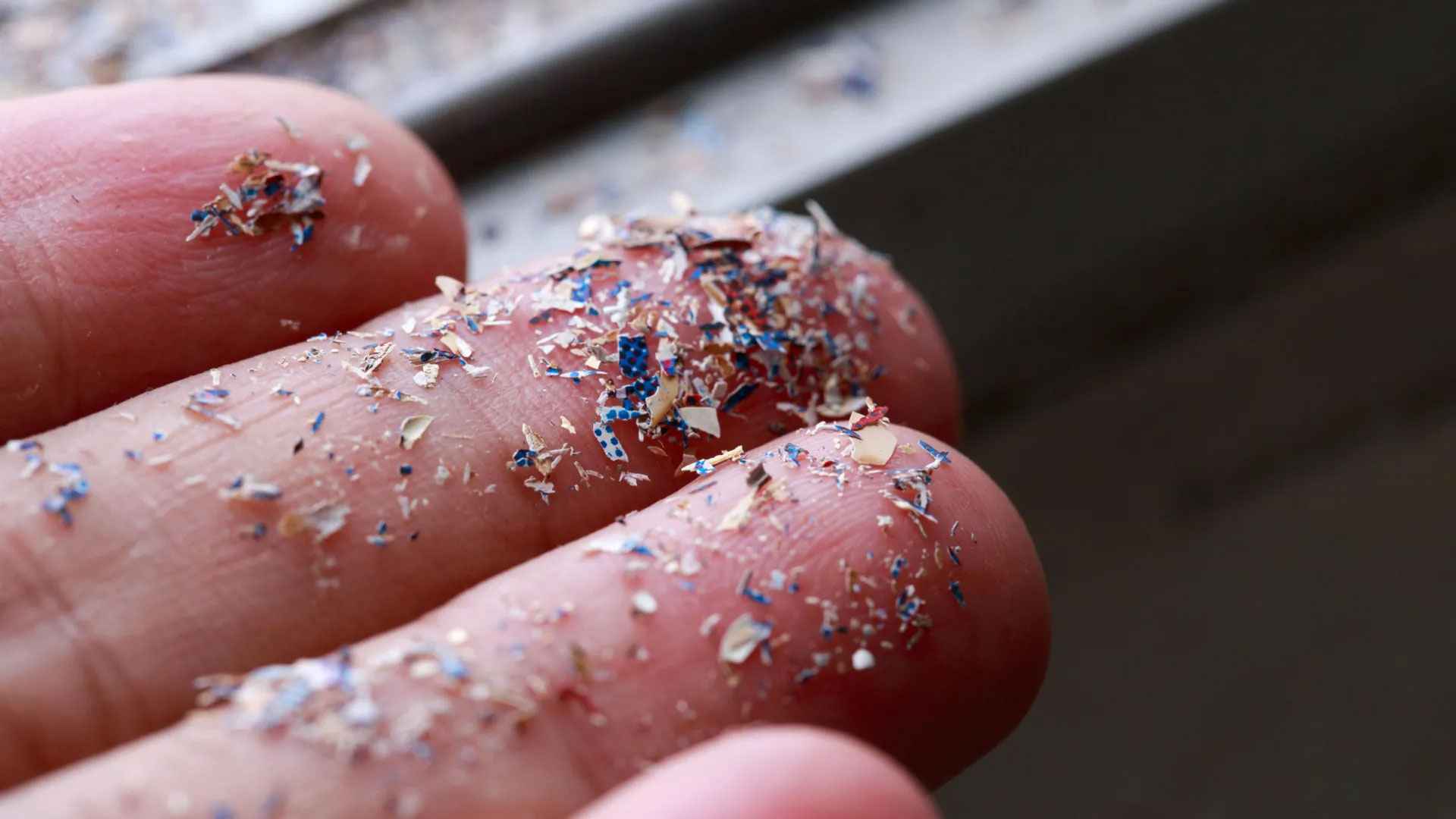 ৯০ শতাংশ প্রস্টেট ক্যানসারের জন্য দায়ী প্লাস্টিক!