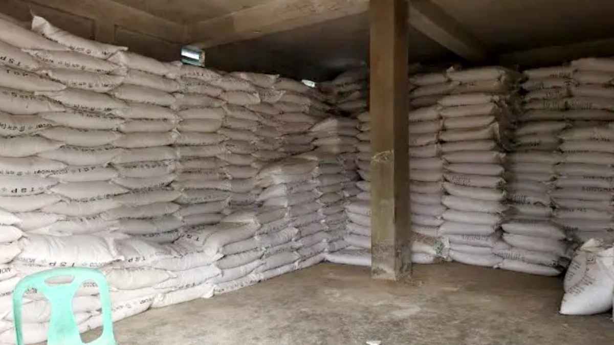 সিন্ডিকেটের কবলে সার, জিম্মি কৃষক