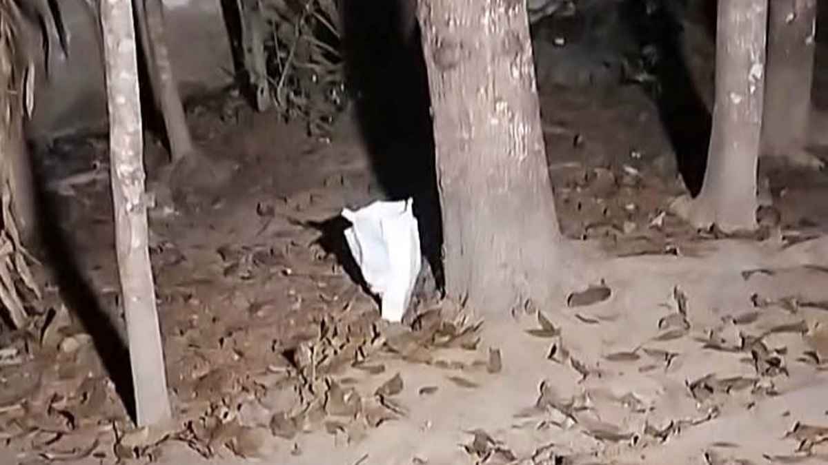 নড়াইলে ব্যাগে মিলল বোমা সদৃশ বস্তু, এলাকাজুড়ে আতঙ্ক