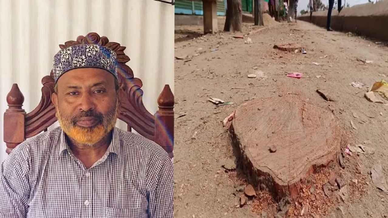 ব্যক্তিস্বার্থে সড়কের গাছ কর্তন, বিএনপির সেই নেতার পদ স্থগিত