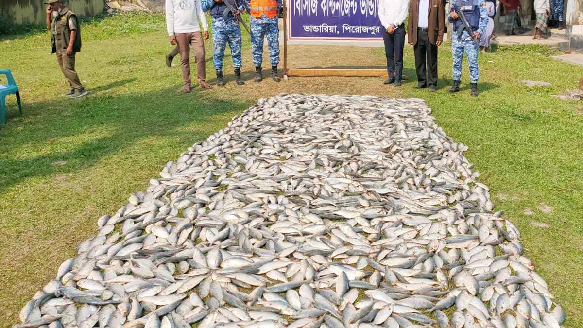 পিরোজপুরে ১০ মণ জাটকাসহ দুটি ট্রলার জব্দ, ৩ জেলের কারাদণ্ড