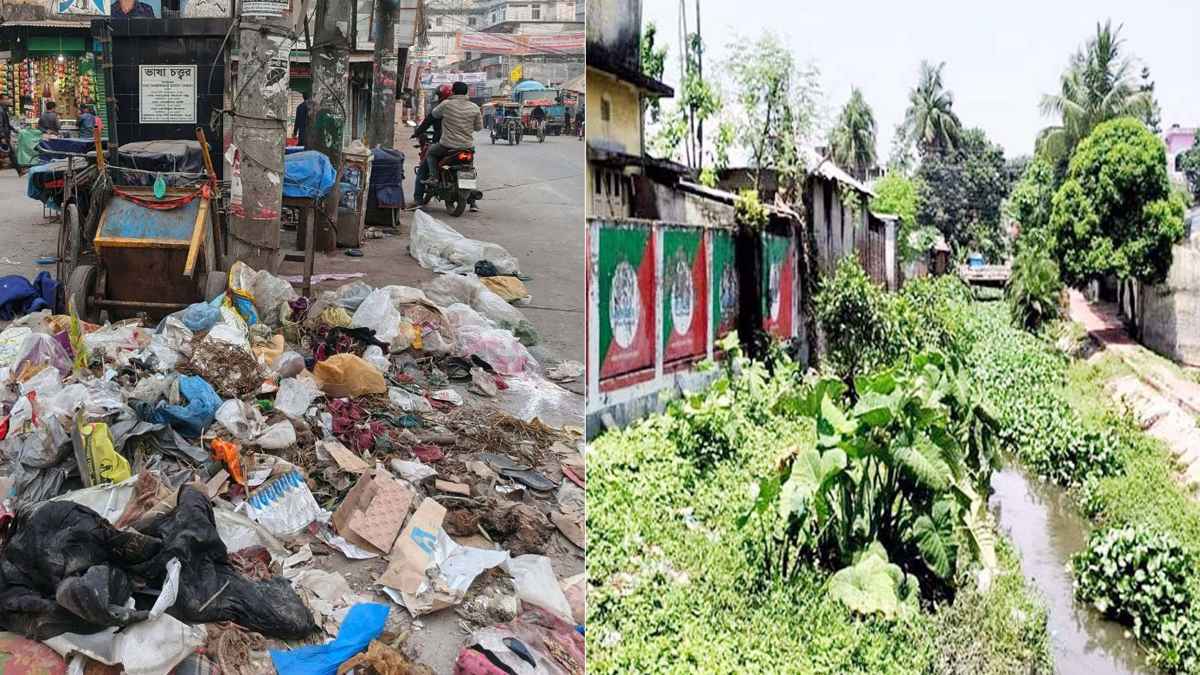 মশায় অতিষ্ঠ নগরবাসী, পদক্ষেপ নেই রসিকের