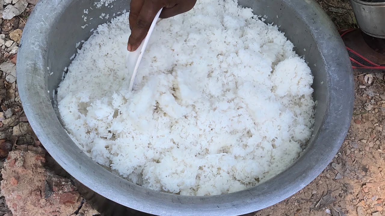 rice_2 rice_2
